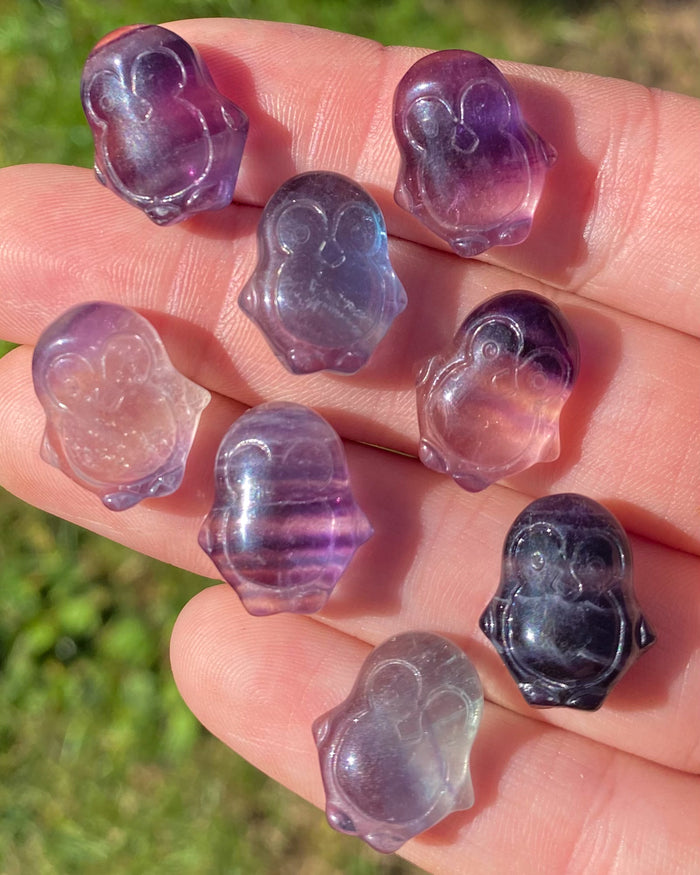 Rainbow Fluorite Penguin