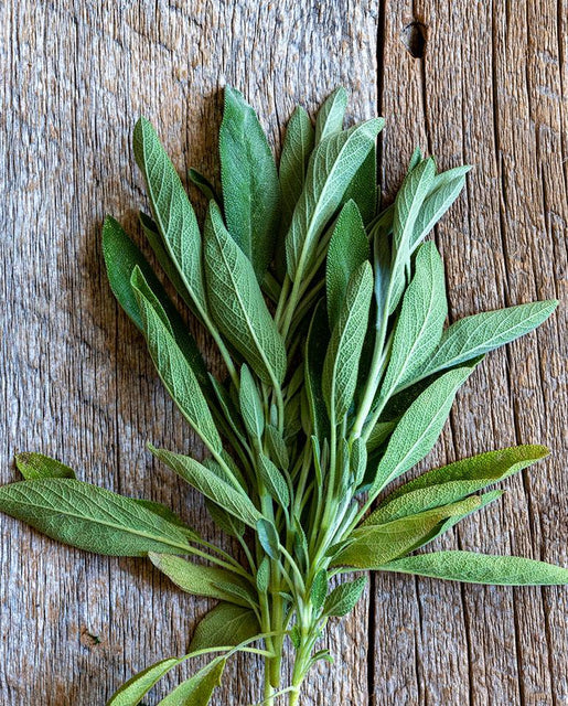 SAGE ORGANIC