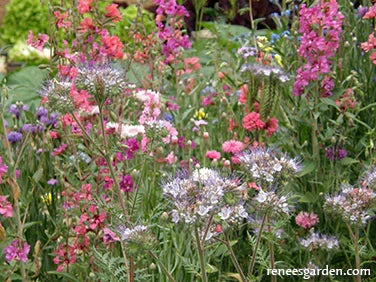SCATTER CAN POLLINATORS