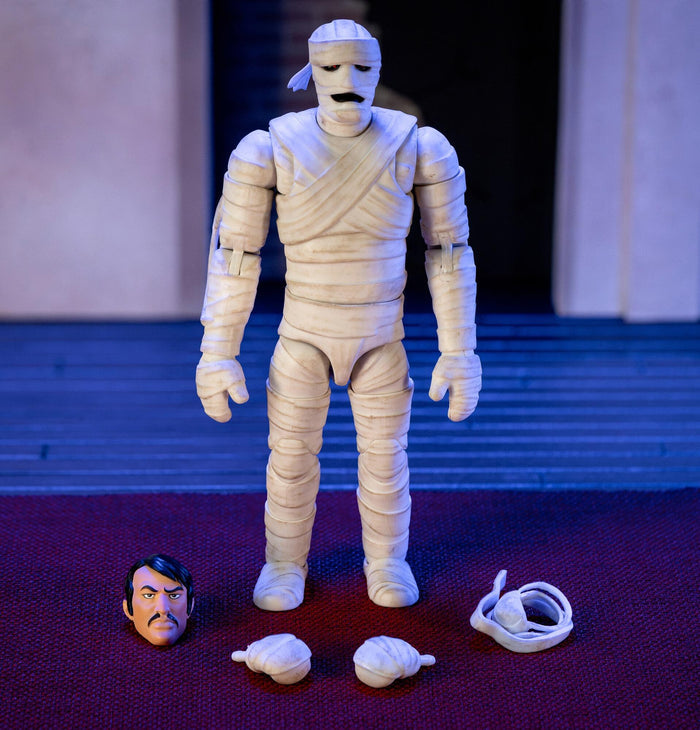Scooby Doo 6 Inch Action Figure Wave 1 - Mummy of Ankha