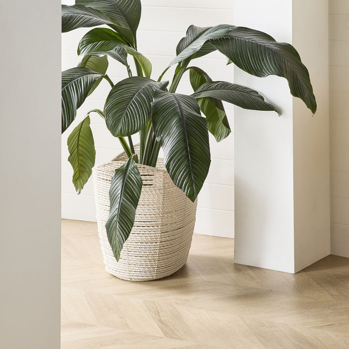 lifestyle_insitu: