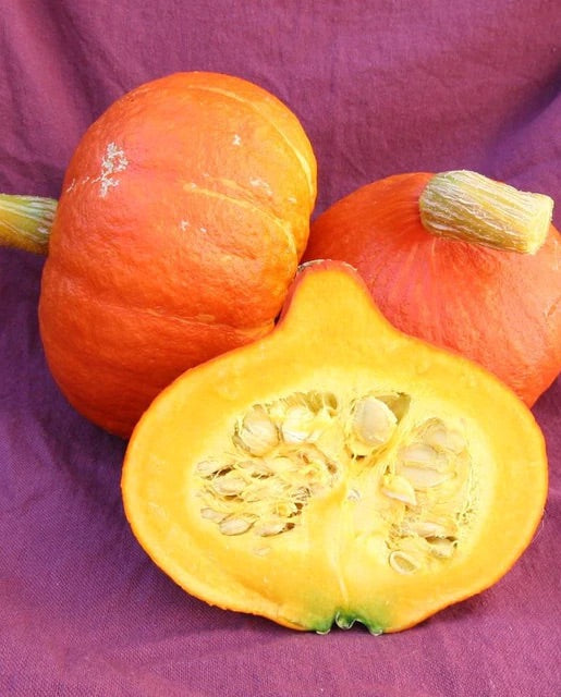 SQUASH BUTTERCUP UCHIKI RED KURI